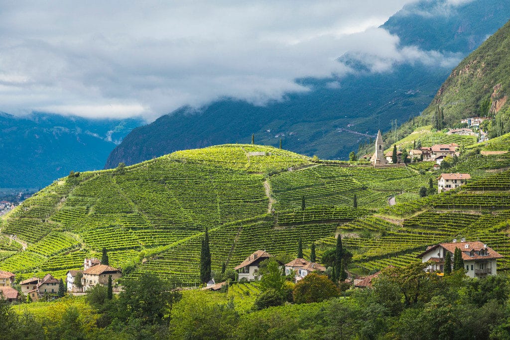 Bolzano: la città e i vigneti - Sapori News 