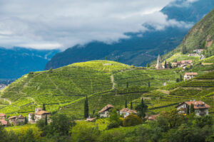 Bolzano: la città e i vigneti