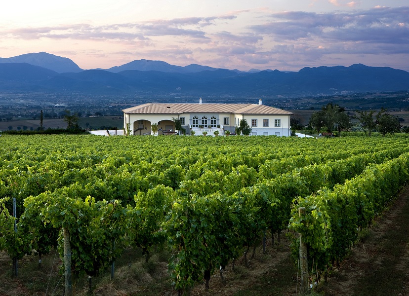 Cantine Lungarotti protagoniste ad Enologica Montefalco e Cantine Aperte in Vendemmia