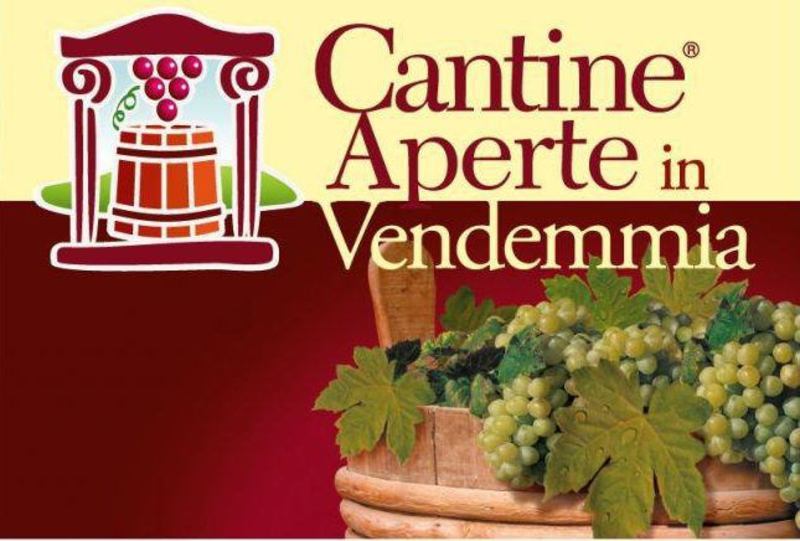 Cantine Aperte in Vendemmia: settembre e ottobre tra vino, sapori e cultura