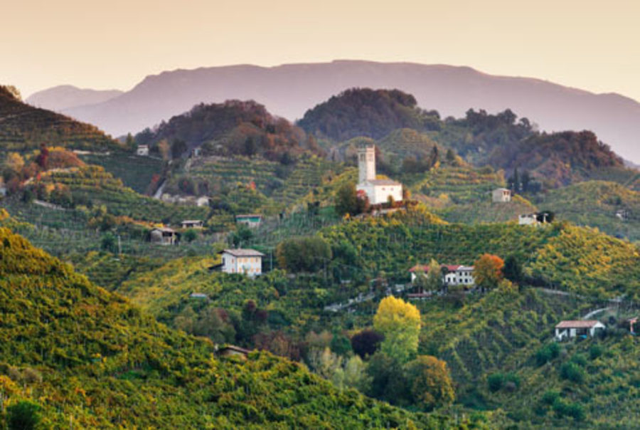 A Settembre e Ottobre a Conegliano Valdobbiadene eventi enogastronomici ed itinerari culturali