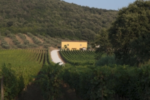 cantina Rigoloccio