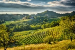 TUTTO IL GAVI A MILANO alla sua terza edizione