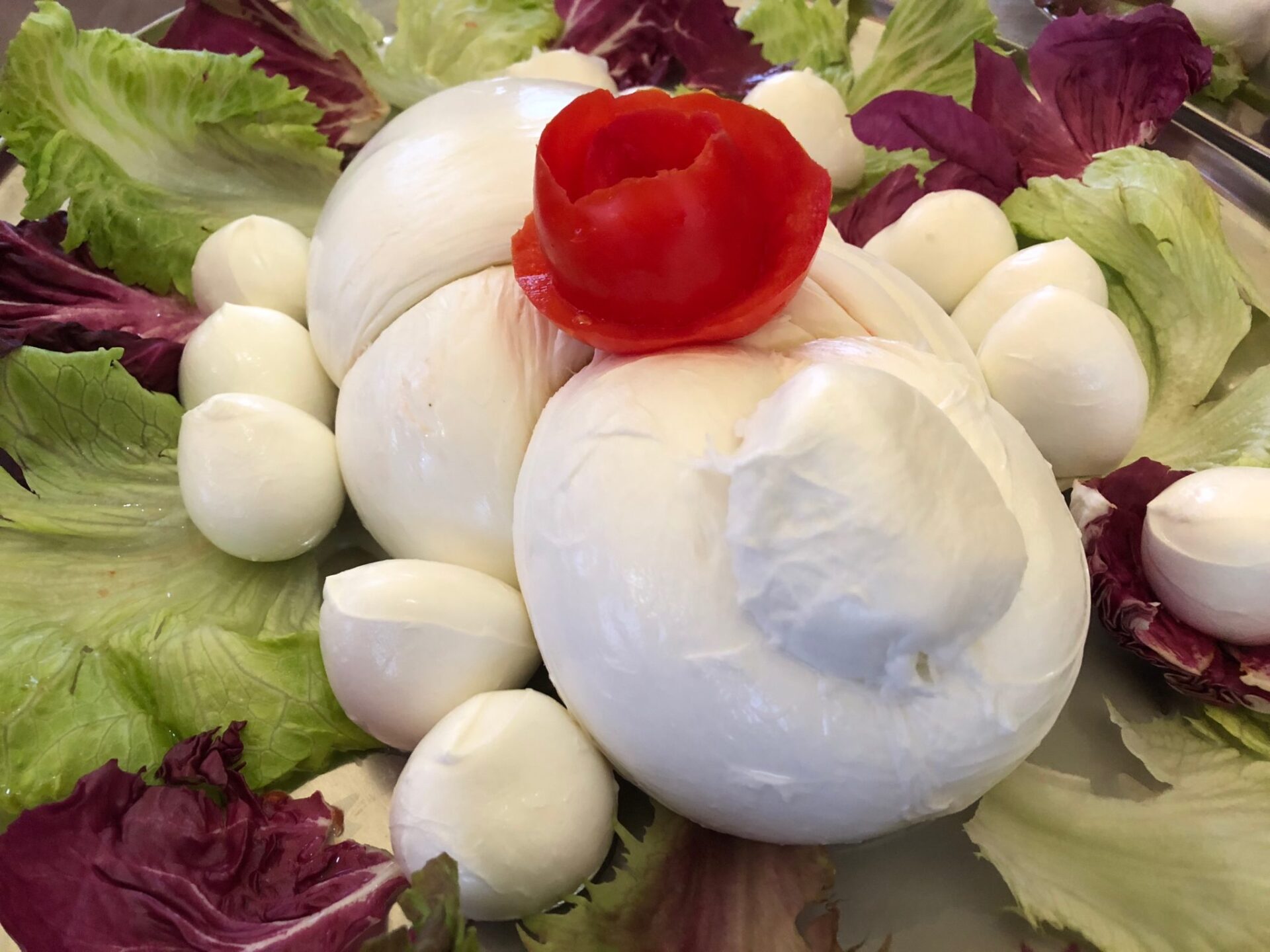 Riviera di Ulisse: prodotti gastronomici ricchi di tradizione e gusto - Sapori News 
