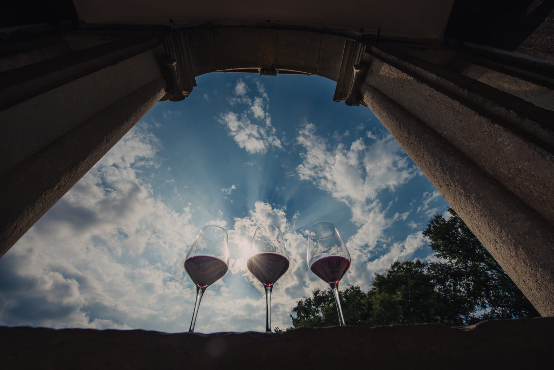 I vini dei Colli Berici festeggiano i dieci anni di gustus