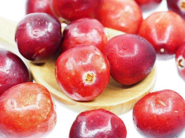 Cranberry: tutte le proprietà del mirtillo rosso americano - Sapori News 