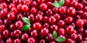 Cranberry: tutte le proprietà del mirtillo rosso americano