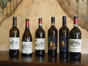 I vini Bulichella aprono la stagione da burde: alla scoperta della Val di Cornia