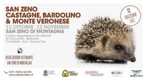 Bardolino e castagne: i protagonisti dell'autunno sul monte baldo