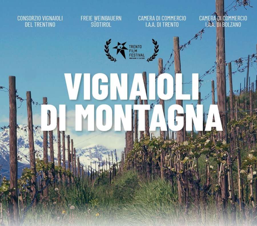 Vignaioli di Montagna: a Bologna vino di montagna e cinema si raccontano