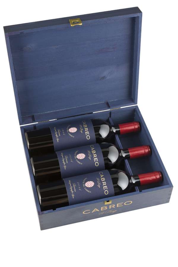 Ambrogio e Giovanni Folonari Tenute propongono per le feste idee regalo originali e ottimi vini - Sapori News 