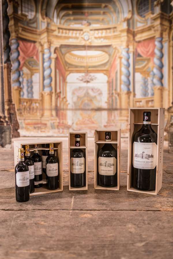 Natale 2019: i vini che renderanno speciali le vostre feste - Sapori News 