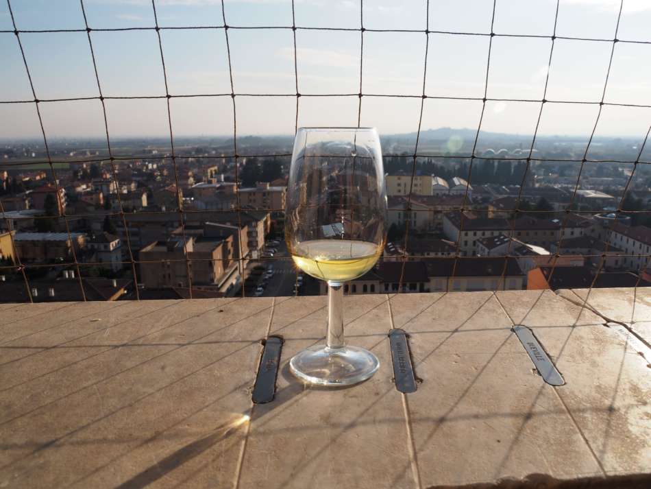 Prima del Torcolato 2020: 25 anni di festa per il vino simbolo di Breganze