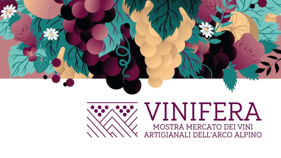 Vinifera forum 2020: dodici appuntamenti aspettando il salone