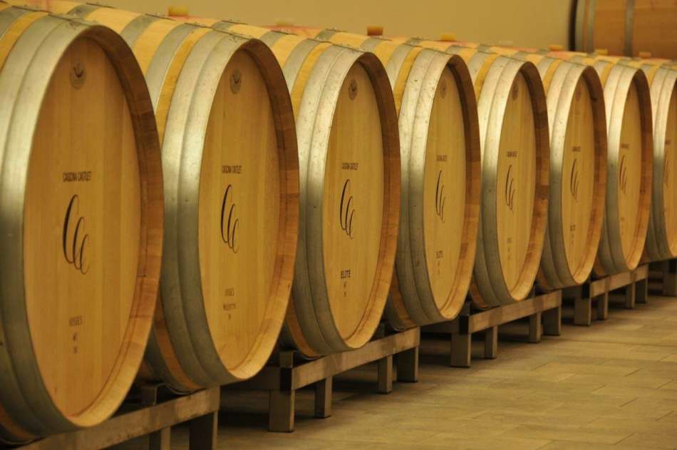 Cascina Castlet e il raro vitigno Uvalino - Sapori News 