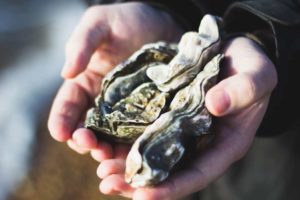 I love Ostrica, scopri il piacere del pesce direttamente a casa tua