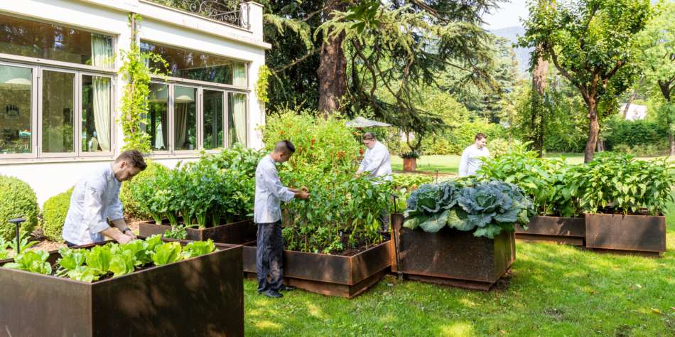 Il Ristorante Kitchen e le nuove proposte “green” - Sapori News 