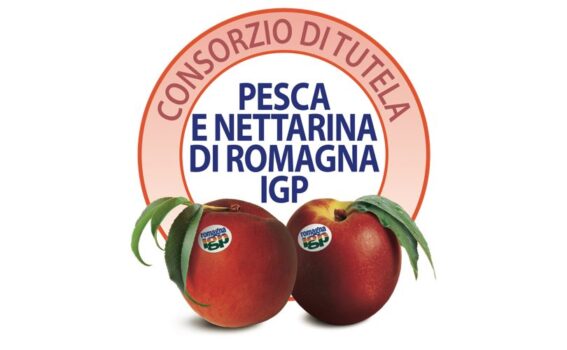 L’Europa firma i prodotti dei suoi territori promuove Pesca e Nettarina di Romagna IGP - Sapori News 