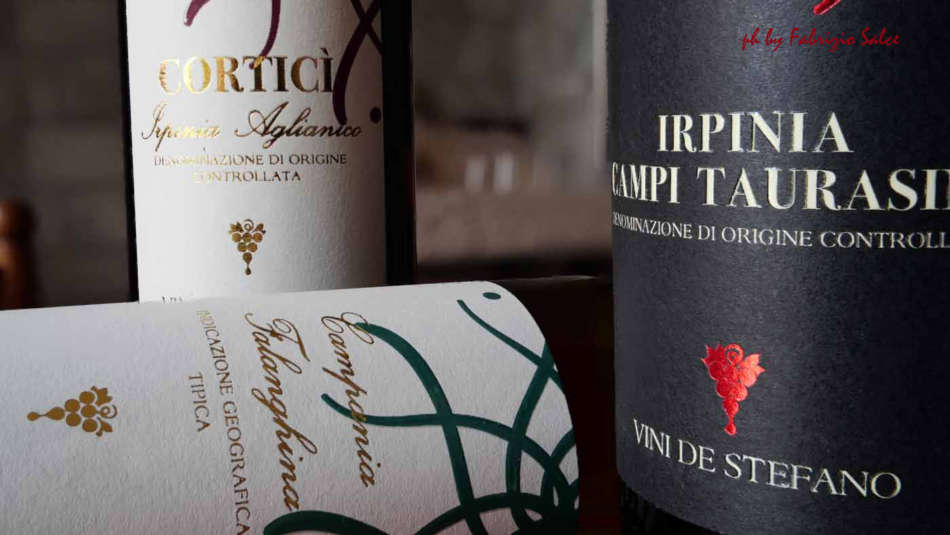 Irpinia : i grandi vini iniziano nella vigna