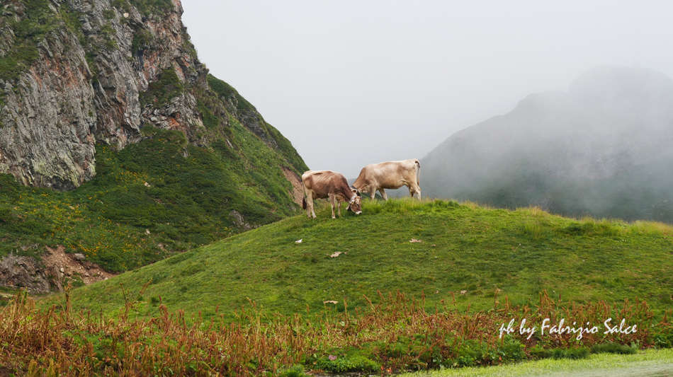 Un grande della montagna: il BETTELMATT - Sapori News 