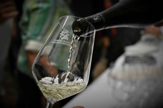 Rassegna Müller Thurgau: Vino di Montagna in Trentino, ad ottobre - Sapori News 