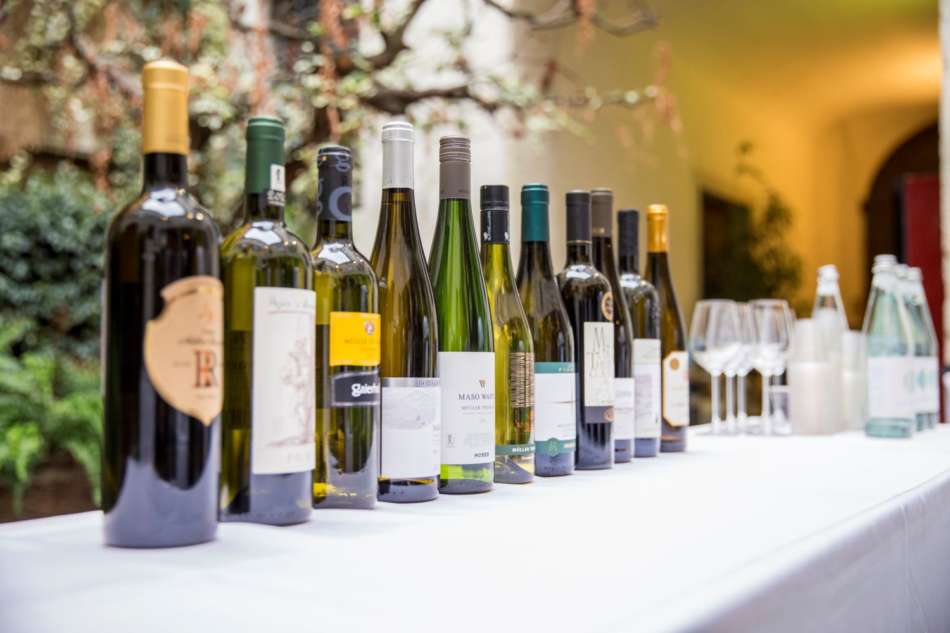 Rassegna Müller Thurgau: Vino di Montagna in Trentino, ad ottobre - Sapori News 