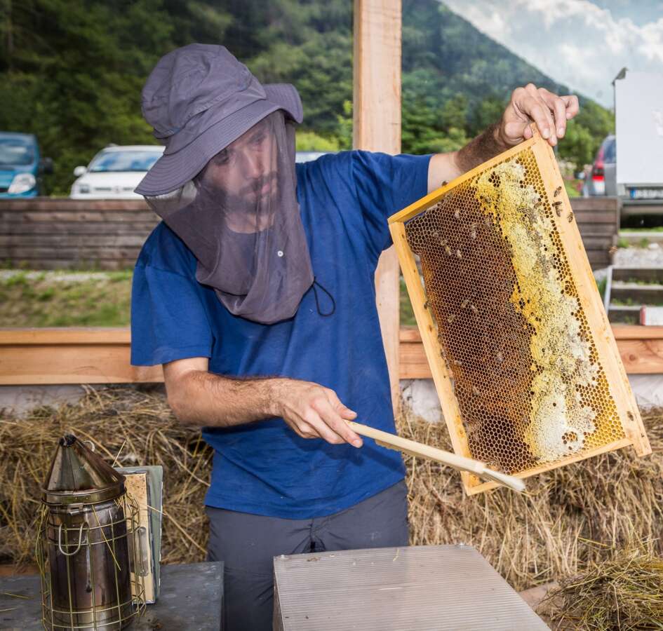 La Val di Non ospita una speciale  Pomaria on the road - Sapori News 