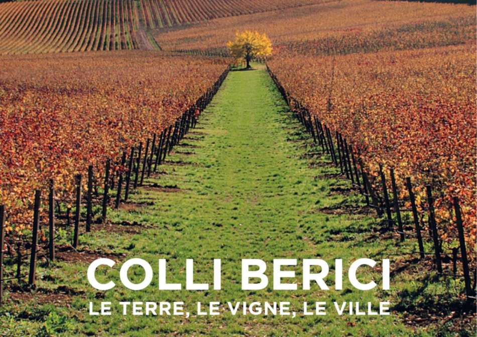 Colli Berici: il libro che racconta il cuore verde di Vicenza
