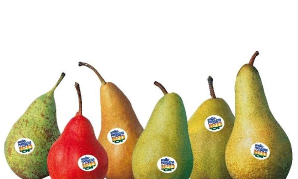 Pera dell’Emilia Romagna IGP, versatile frutto autunnale - Sapori News 