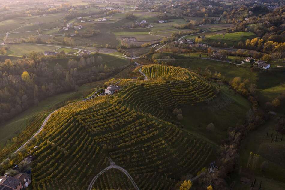 Vini del Montello