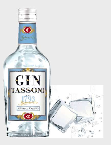 Gin Tassoni, una novità unica Made in Italy - Sapori News 