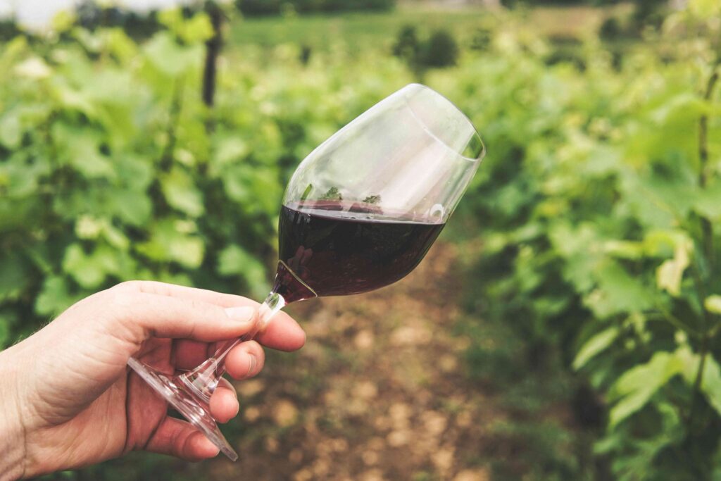 ONAV lancia i webinar col format #vino&terroir - Sapori News 