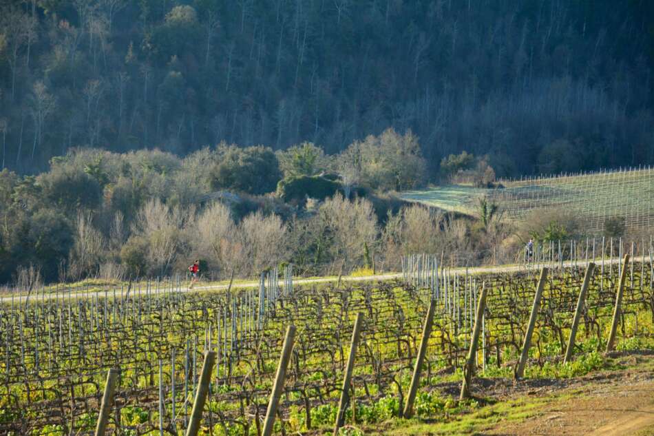 Chianti Ultra Trail, di corsa tra i vigneti toscani - Sapori News 