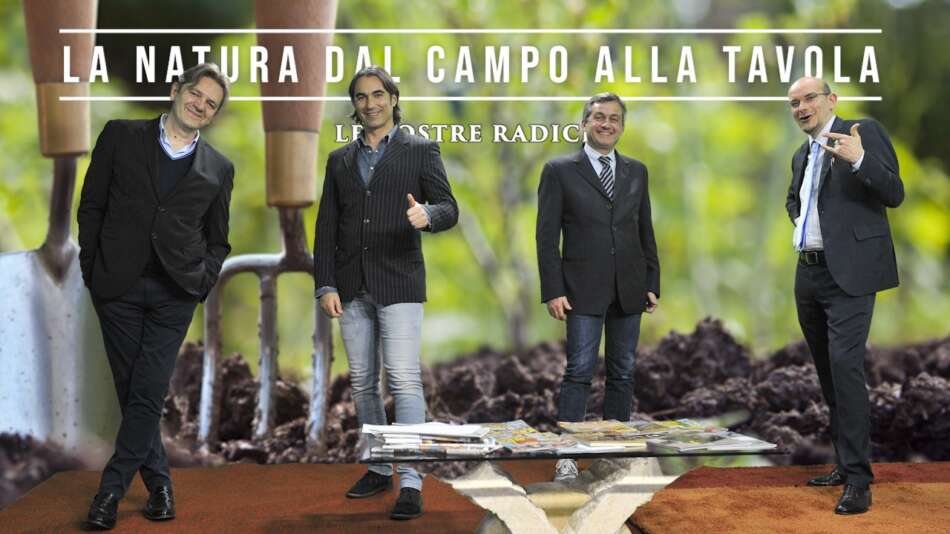 SIPO e le verdure ipogee