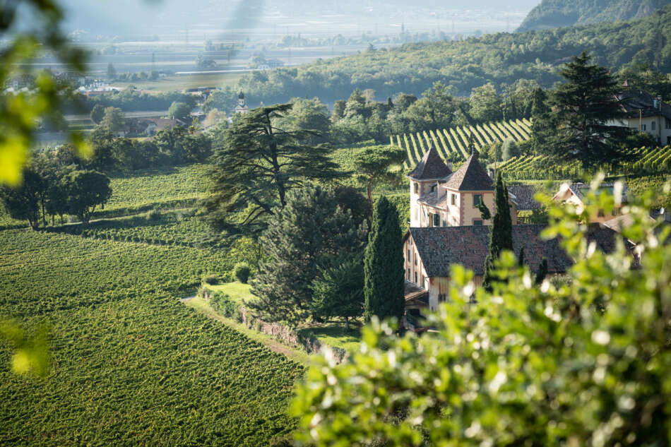 Tenuta Kornell presenta i vini dell'estate - Sapori News 