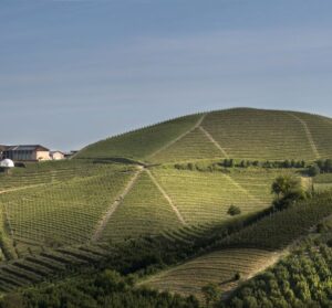 La Tenuta Monsordo Bernardina propone tour e degustazioni tra i vigneti