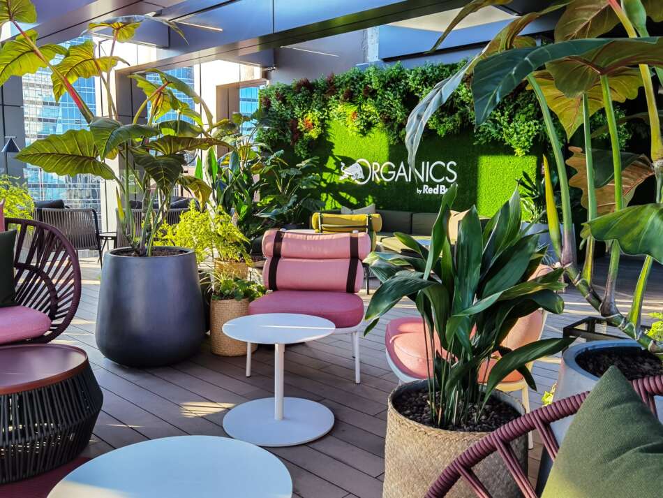 Organics SkyGarden, per un aperitivo urban chic jungle - Sapori News 
