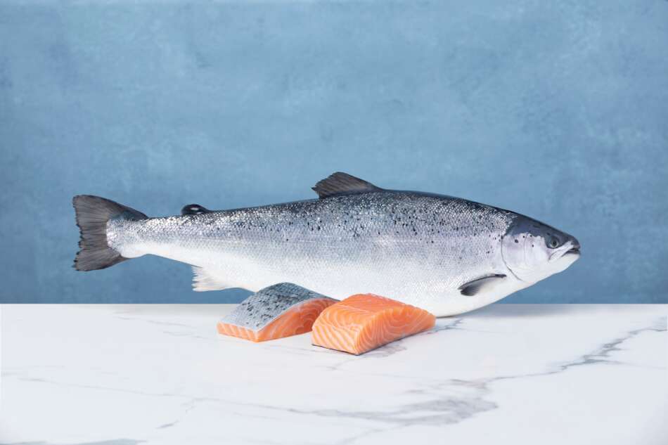Il Salmone Norvegese è l'alimento più amato dagli italiani - Sapori News 