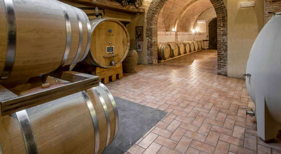 Il vino Cenerentola trova una nuova casa alla Fattoria del Colle - Sapori News 