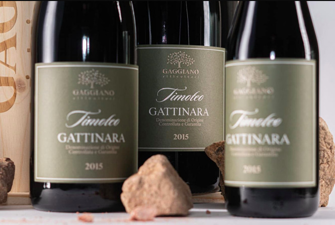 Cantina Gaggiano,  viti e tradizione nella storia della Famiglia Fabris - Sapori News 