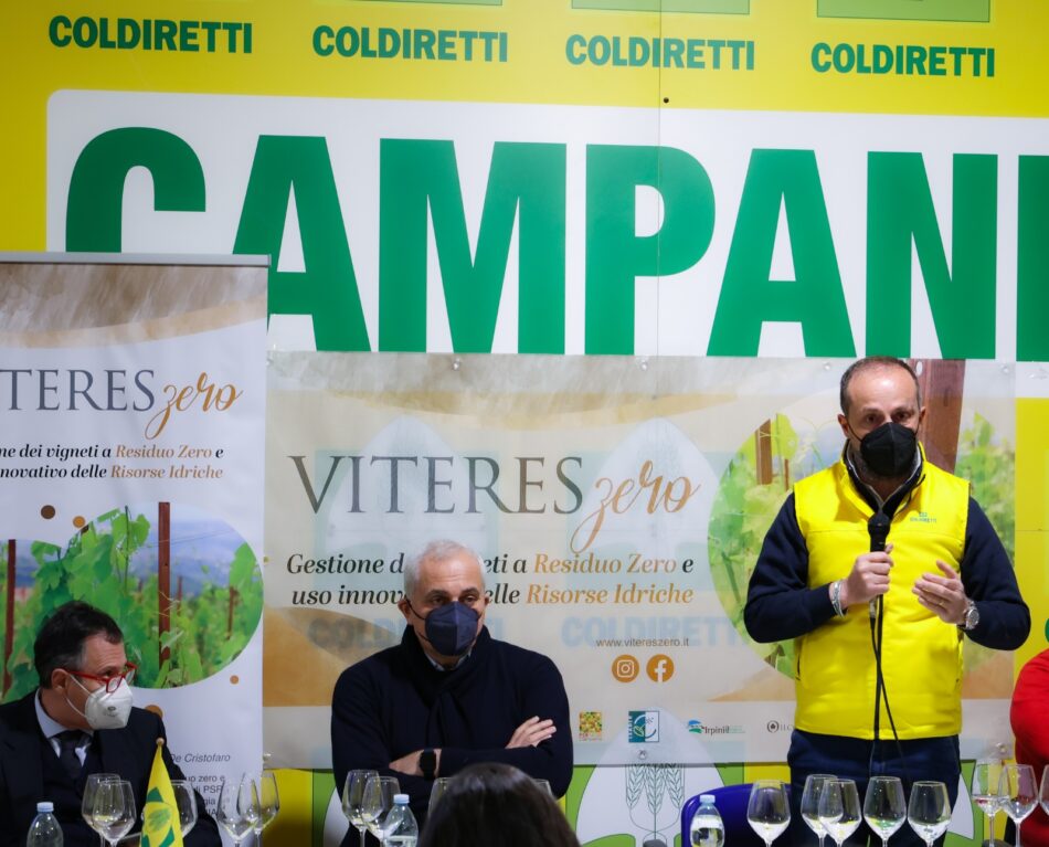 ViteresZero per migliorare la qualità del vino senza prodotti chimici e spreco di acqua - Sapori News 