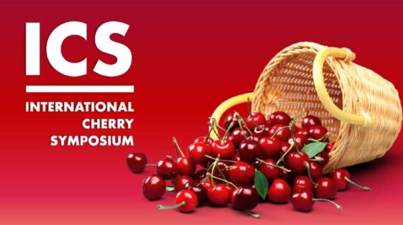Con International Cherry Symposium, Macfrut diventa capitale mondiale della ciliegia - Sapori News 