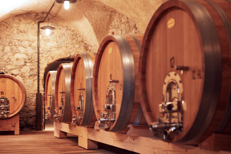 Due imperdibili incontri con i vini dell'Alto Adige - Sapori News 