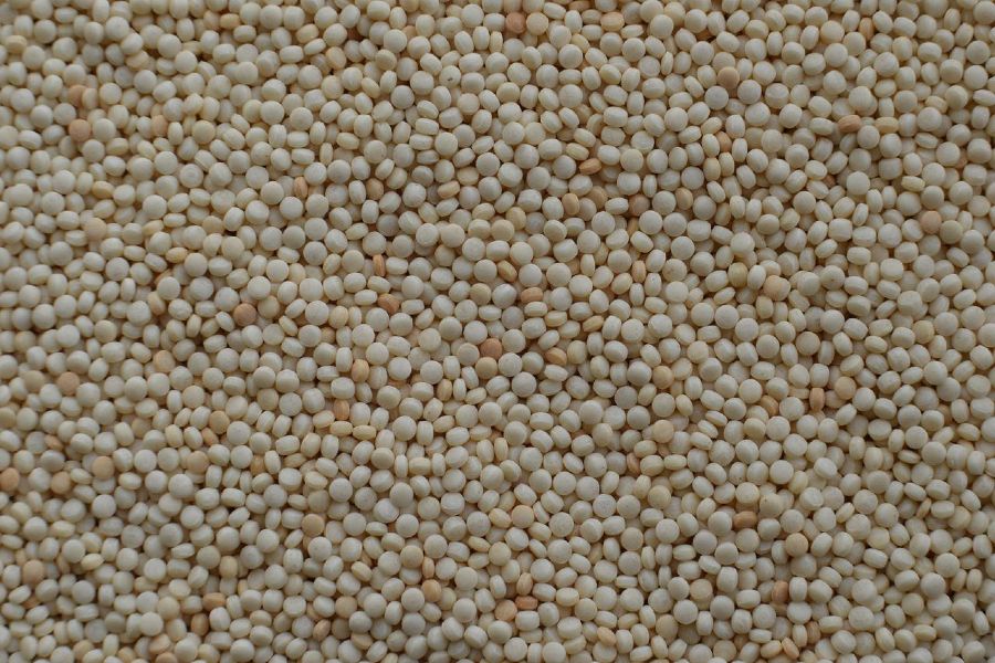 La fregula sarda - Sapori News 