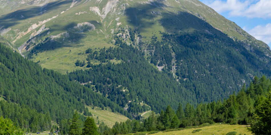 Il sentiero gourmet  nel piccolo Tibet - Sapori News 