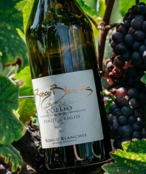 Ronco Blanchis, nel cuore della denominazione Collio DOC - Sapori News 