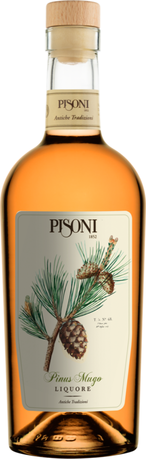 Profumi balsamici e gemme di Mugo: ecco il nuovo liquore Pisoni - Sapori News 