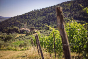 Tenuta Grignano,