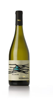Allucià - Sapori News 