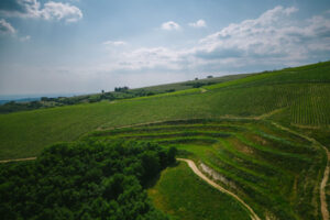 La Collina Dei Ciliegi